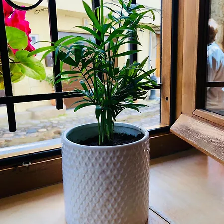 Rural Val De Xalima Апартаменты *