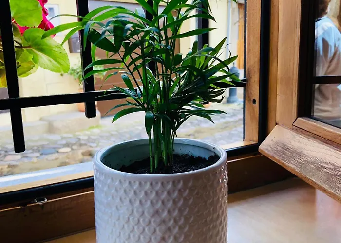 Rural Val De Xalima Appartement *